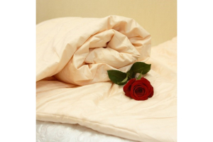 Одеяло шёлковое Elisabette Элит зимнее, 200x220 (персик)
