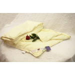 Одеяло шёлковое Elisabette Элит зимнее, 200x220 (бежевый)