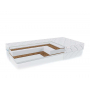 Alitte Thomas M-20-K